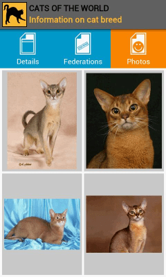 Capture d'écran de l'application Cats of the world - #2