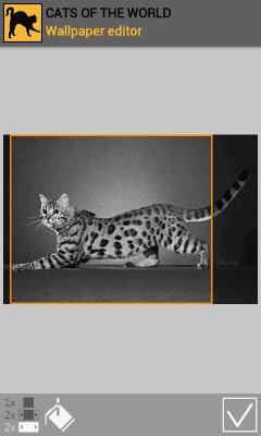 Capture d'écran de l'application Cats of the world - #6