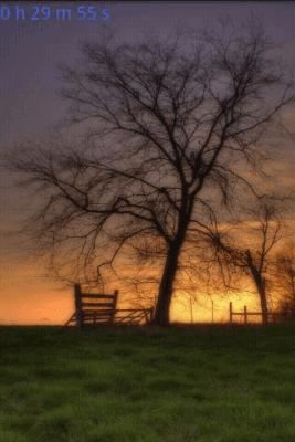 Capture d'écran de l'application Bird Songs - #4