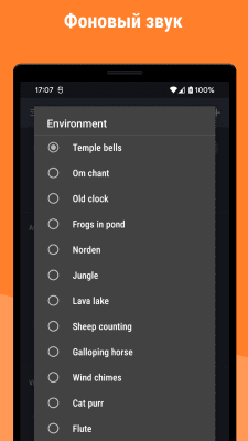 Capture d'écran de l'application Mindroid - #8