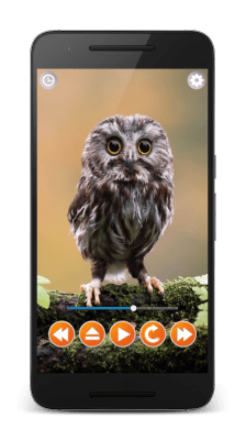 Capture d'écran de l'application Sons d'oiseaux - #1