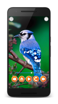 Capture d'écran de l'application Sons d'oiseaux - #2