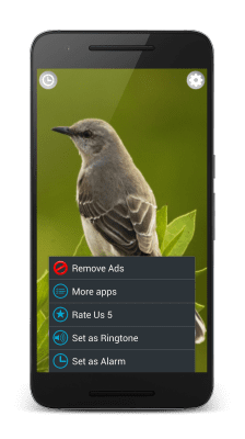 Capture d'écran de l'application Sons d'oiseaux - #4