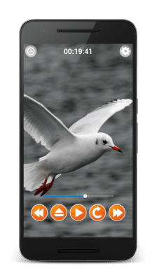 Capture d'écran de l'application Sons d'oiseaux - #5