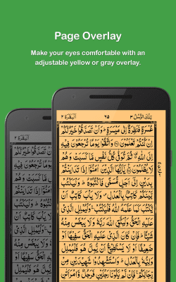 Capture d'écran de l'application HOLY QURAN - #5