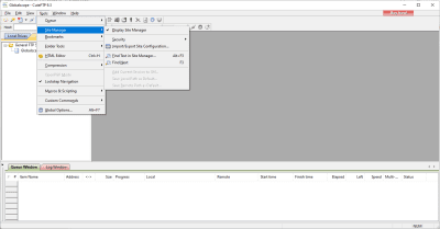 Capture d'écran de l'application CuteFTP - #3