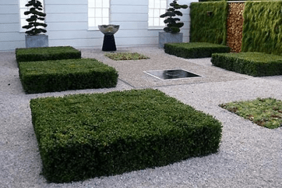 Capture d'écran de l'application Landscaping Design Ideas - #9