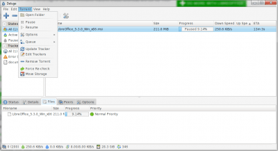 Capture d'écran de l'application Deluge - #3