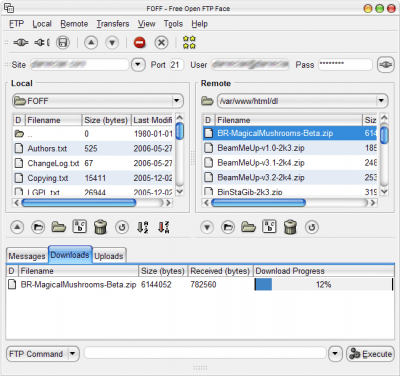Capture d'écran de l'application Free Open FTP Face - #6