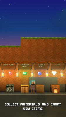 Capture d'écran de l'application The Blockheads - #4