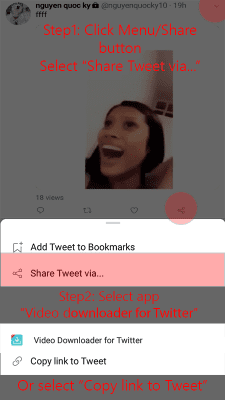 Capture d'écran de l'application Video Downloader for Twitter - #1