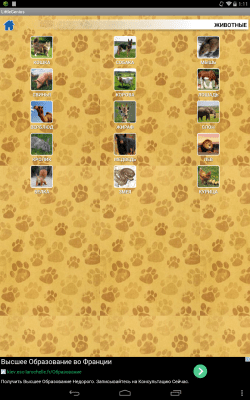 Capture d'écran de l'application Mon petit génie - #7
