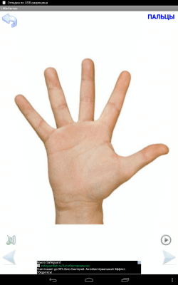 Capture d'écran de l'application Mon petit génie - #8