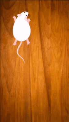 Capture d'écran de l'application Game For Cats - #4