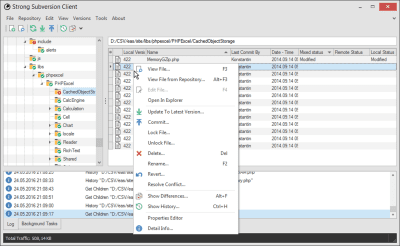 Capture d'écran de l'application StrongSVN - #3