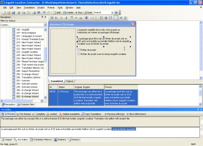 Capture d'écran de l'application Lingobit Localizer - #7