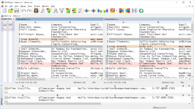 Capture d'écran de l'application WinMerge - #6