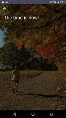 Capture d'écran de l'application PixelKnot: Hidden Messages - #8