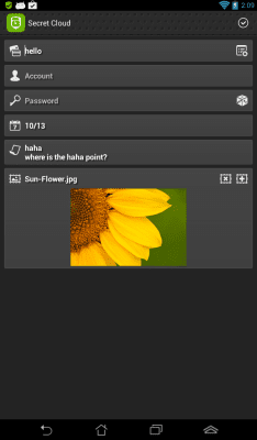 Capture d'écran de l'application G-Protector Anti Virus Utility - #3