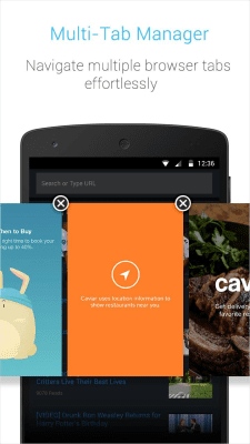 Capture d'écran de l'application APUS Turbo Browser - #4