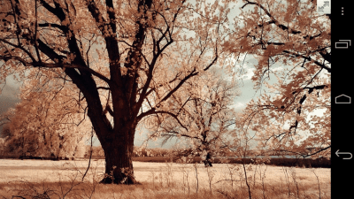 Capture d'écran de l'application Full Screen Private Browsing - #5