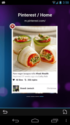 Capture d'écran de l'application Boat Browser Mini - #6