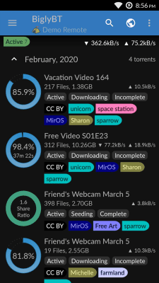 Capture d'écran de l'application Client torrent BiglyBT avec contrôle à distance - #1