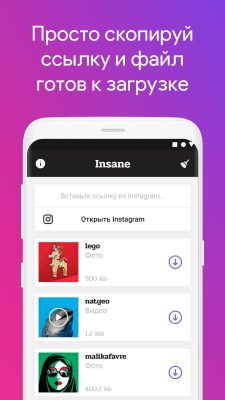 Capture d'écran de l'application Insane - Télécharger des photos et des vidéos depuis Instagram - #3