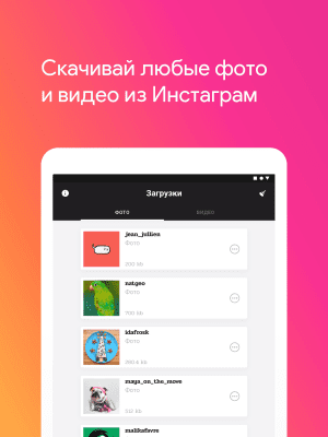 Capture d'écran de l'application Insane - Télécharger des photos et des vidéos depuis Instagram - #4