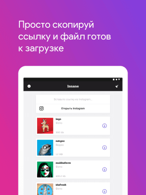 Capture d'écran de l'application Insane - Télécharger des photos et des vidéos depuis Instagram - #6