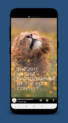 Capture d'écran de l'application StorySave - #3