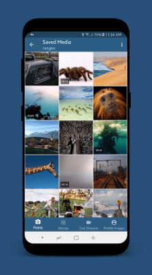 Capture d'écran de l'application StorySave - #4
