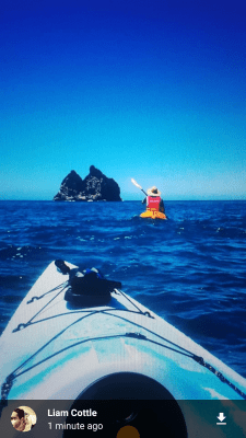 Capture d'écran de l'application StorySave - #5