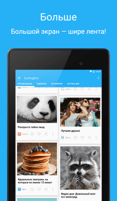 Capture d'écran de l'application Surfingbird - #9