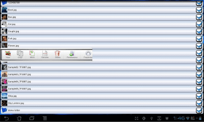 Capture d'écran de l'application WiFi File Sharing Demo - #4