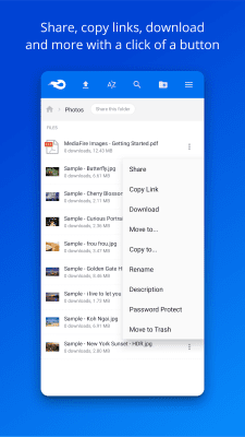 Capture d'écran de l'application MediaFire - #3