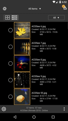 Capture d'écran de l'application ACDSee Mobile Sync - #2