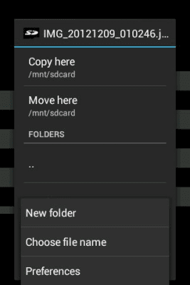 Capture d'écran de l'application Envoyer à la carte SD - #2