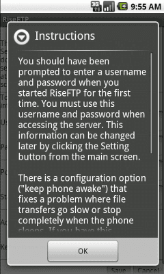Capture d'écran de l'application Rise FTP Server - #2
