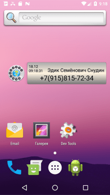 Capture d'écran de l'application Numéro d'information gratuit - #3