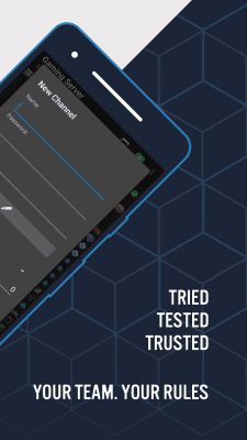 Capture d'écran de l'application TeamSpeak 3 - Voice Chat Software - #6