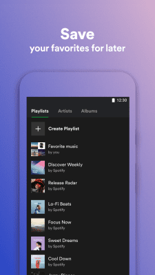 Capture d'écran de l'application Spotify Lite - #4
