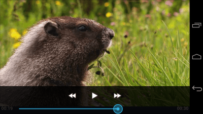 Capture d'écran de l'application Video Player - #3