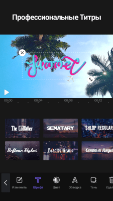 Capture d'écran de l'application VivaCut Video Editor : Montage et traitement vidéo - #8