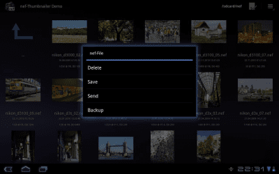 Capture d'écran de l'application nef-Thumbnailer Demo - #3