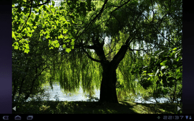 Capture d'écran de l'application nef-Thumbnailer Demo - #6