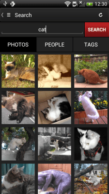 Capture d'écran de l'application Phereo 3D Photo - #5