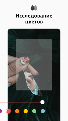 Capture d'écran de l'application VSCO - #4