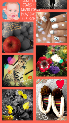 Capture d'écran de l'application PIQNICK - #4