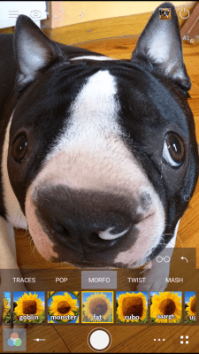 Capture d'écran de l'application Cameringo Lite Effect Camera - #7